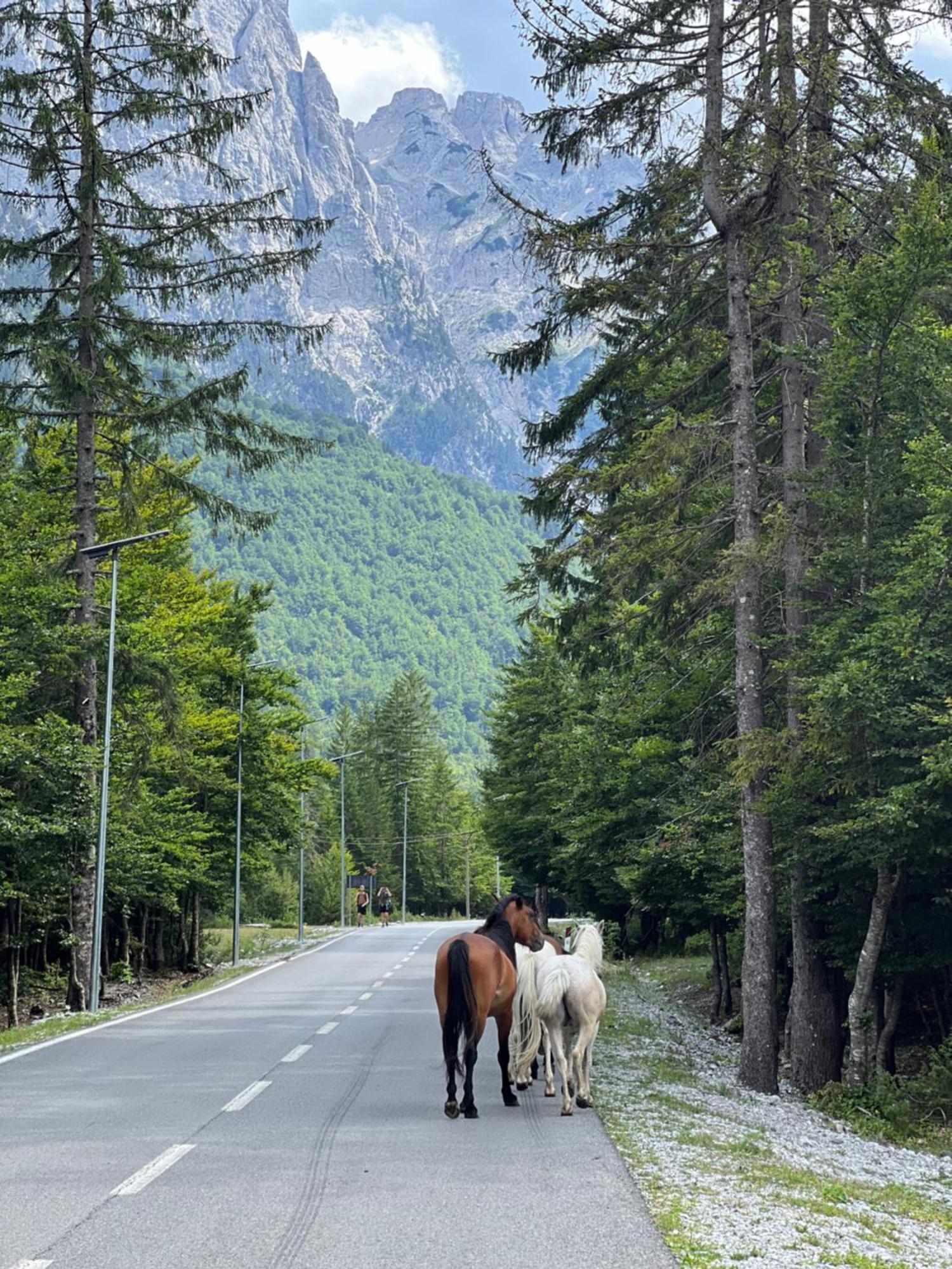 Krojet E Rrogamit Валбона Экстерьер фото